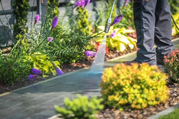 Best Commercial Pressure Washing in Nokomis, IL